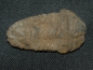 Preview: Trilobit Calymene